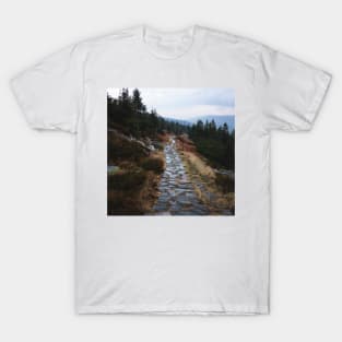 Path Through the Misty Mountains in Czech T-Shirt